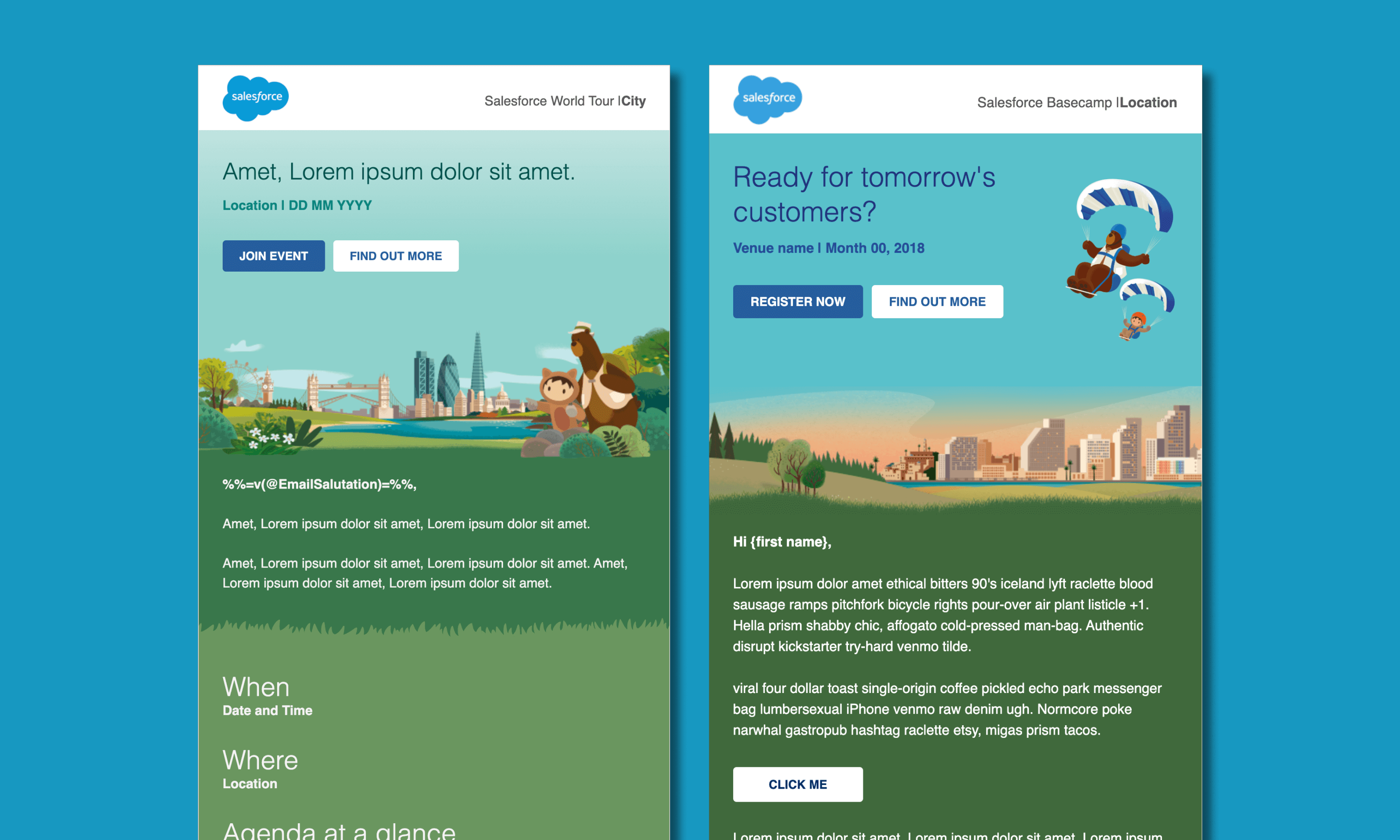 salesforce portfolio