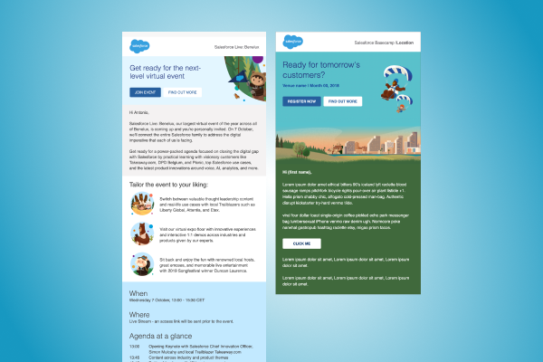 Portfolio Salesforce